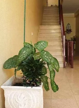 Apartamento Em A 2min Da Praia Appartamento *